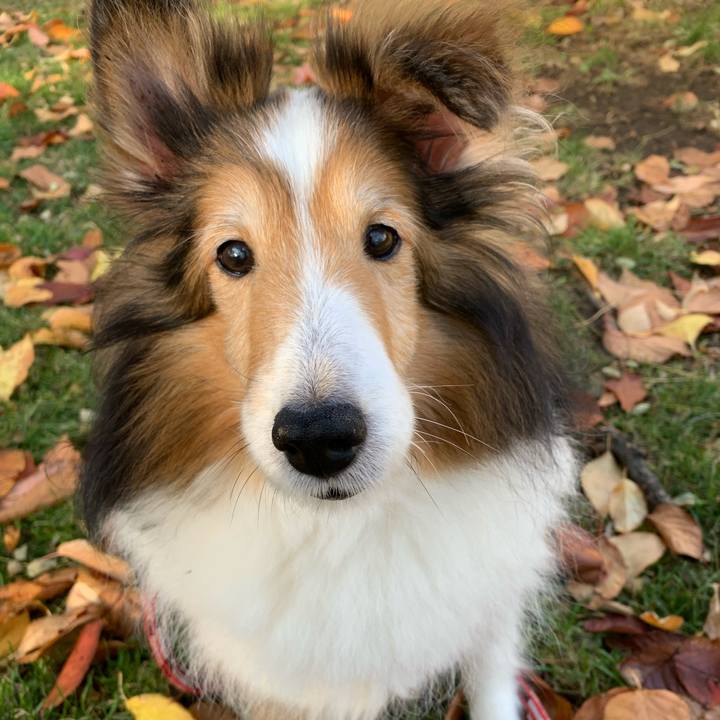 D8307ac5 b4de 42d0 a563 eb932e48a5f1 1604207540326