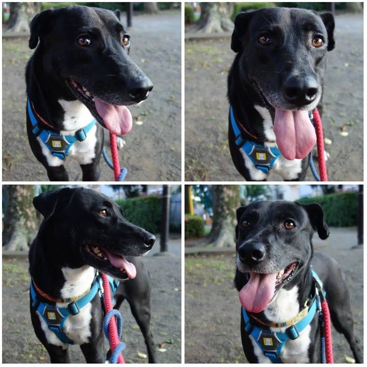 D83081ef dba2 4c91 acf7 905ebc57dbe2 1622285344364