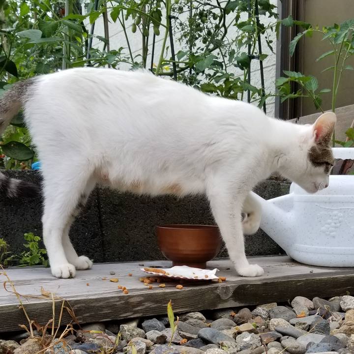 D8309419 0feb 42c8 bf69 f5a551672451 1565490292981