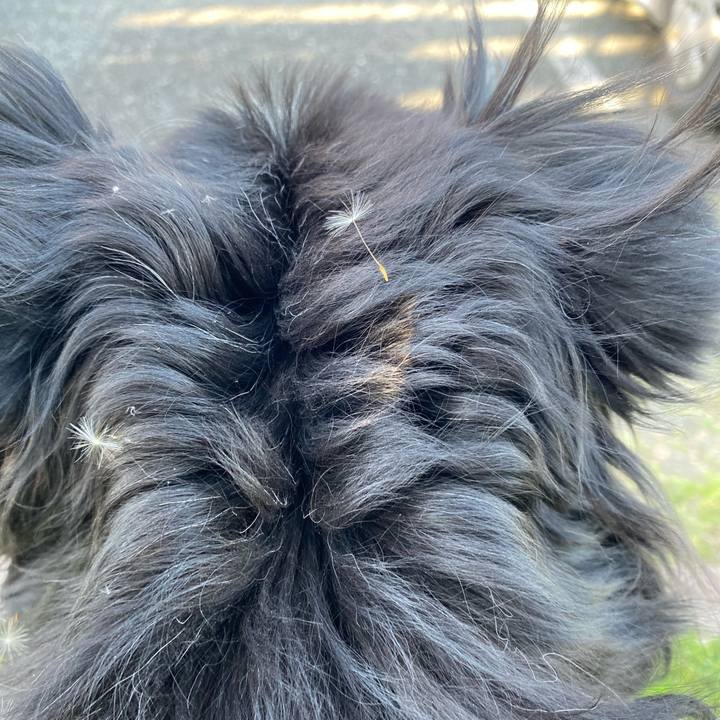 D830ae77 56da 4a5c b887 3f6e5ab57944 1714034262008