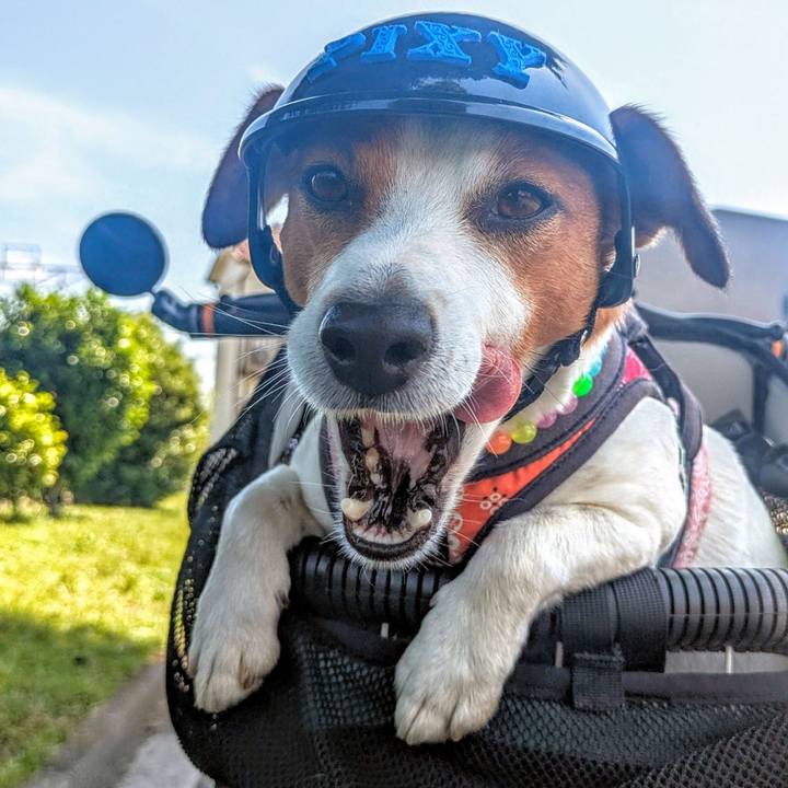 D830d89a 4eaa 44f7 bb26 9ad7e1fa5a4b 1749192797907