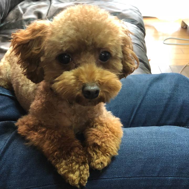 D830dfbf 0001 45b9 a818 c4c124da04a2 1543530955304