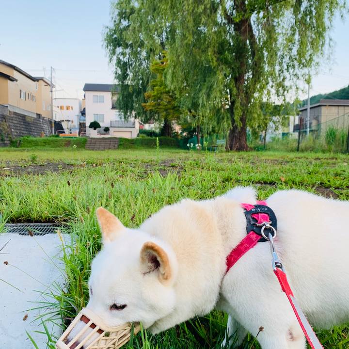 D8311183 001c 4020 9f9f 75cfdf58616a 1567200031289