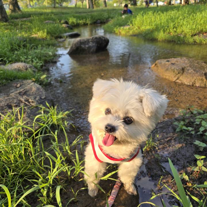 D8311f6a 4e4c 44cc 84c2 0d14dd39109e 1756546585791