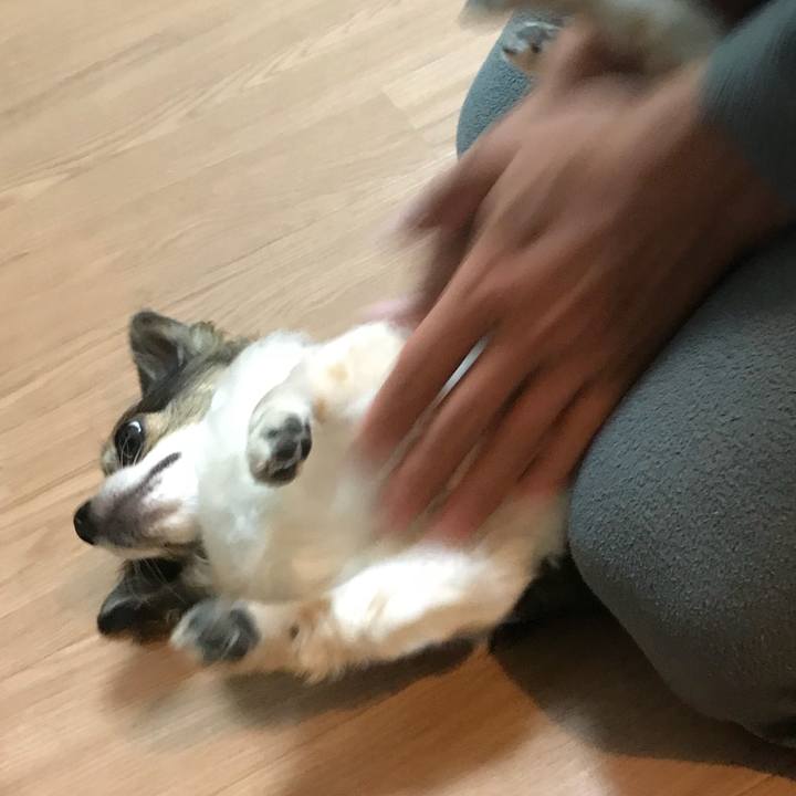 D831457a e84d 44f6 be1d e263c19fda55 1525179873123