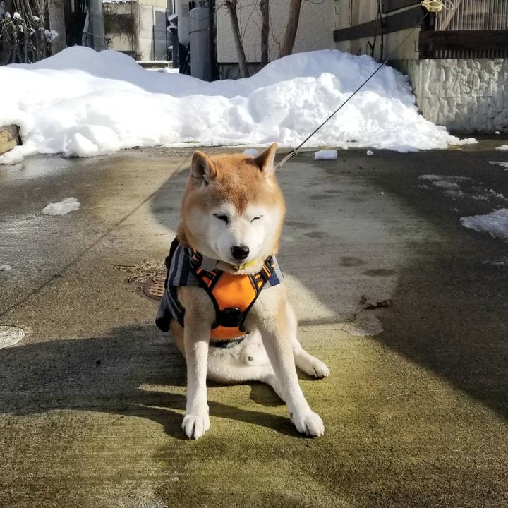 D8315b8b 6522 406b 8b13 88c27c2353c3 1672718619337