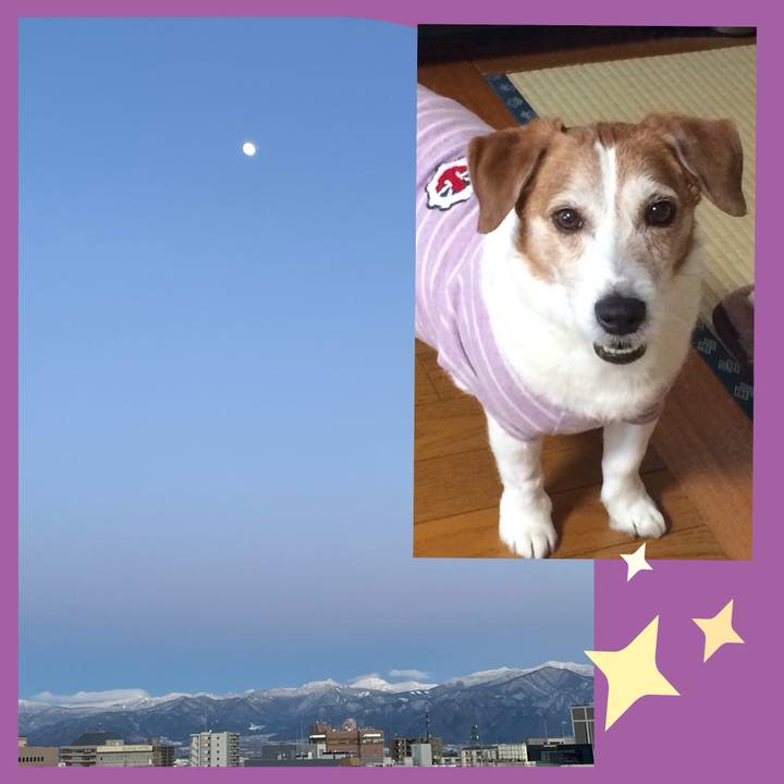 D8317726 f654 432c a986 9fa41731b899 1736584065091