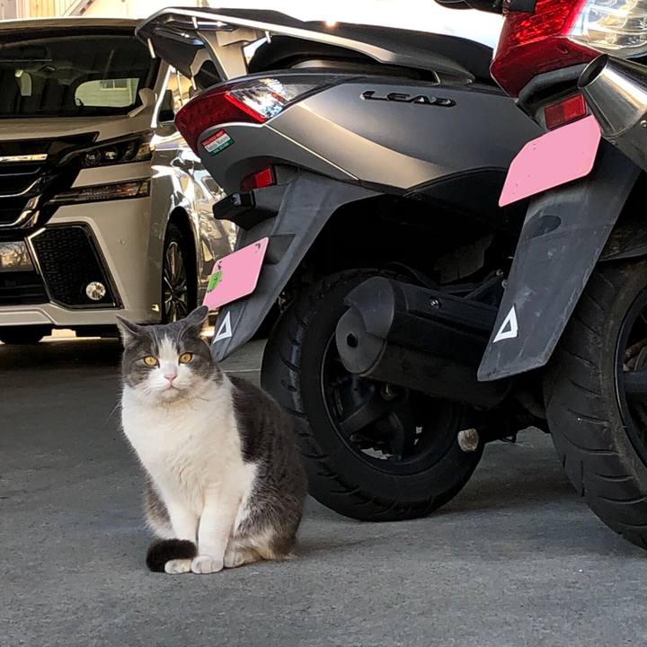 D831ac23 25b0 4b41 8000 766437eb10e3 1609365461883