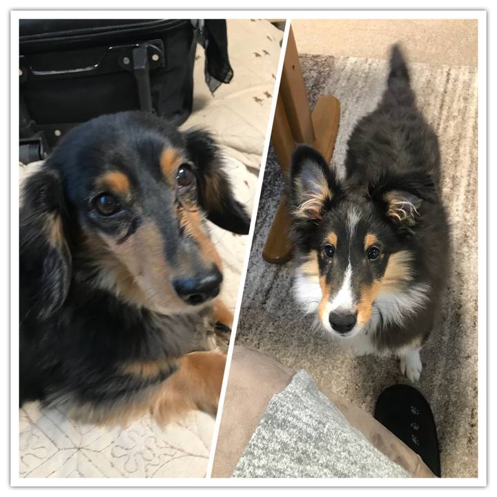 D831afe1 a0d8 4c32 abe3 e197a9170a34 1514242797598