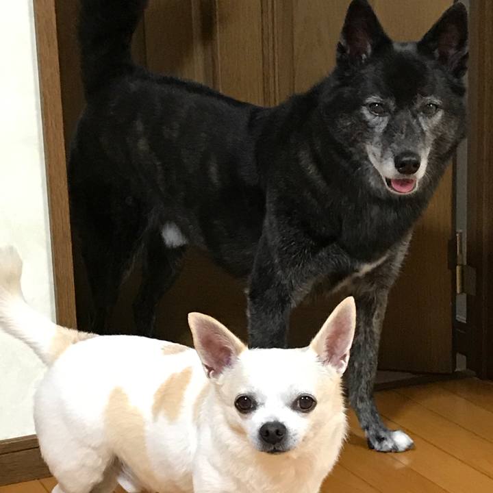 D831b8fe 3046 4cbf a4c5 fe3af77d02d5 1508855963811