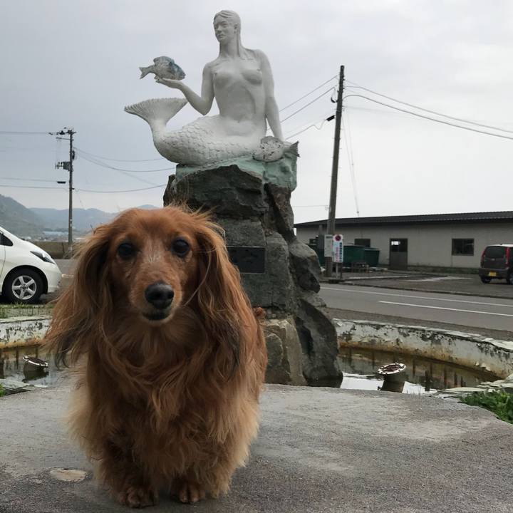 D831c0f3 ab11 4673 8dce e08b0093fc6d 1525831445835