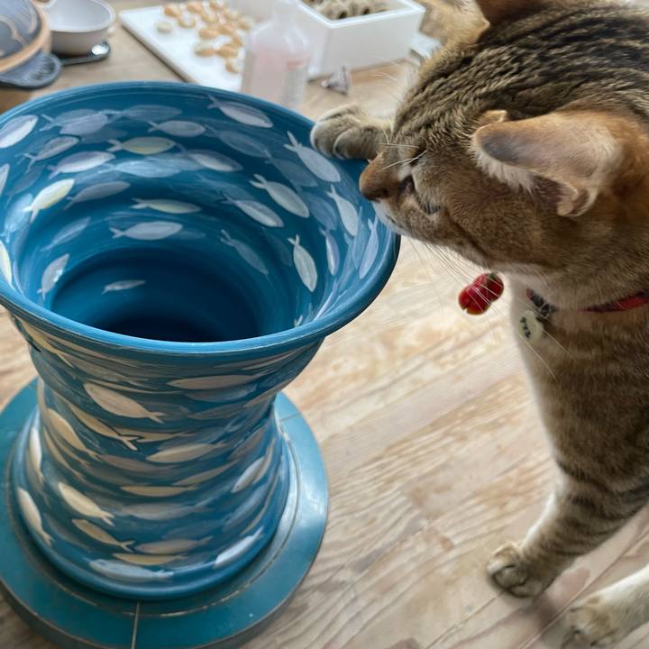 D831d0f6 f2e7 4712 ab20 97596abb1d7e 1675671585874