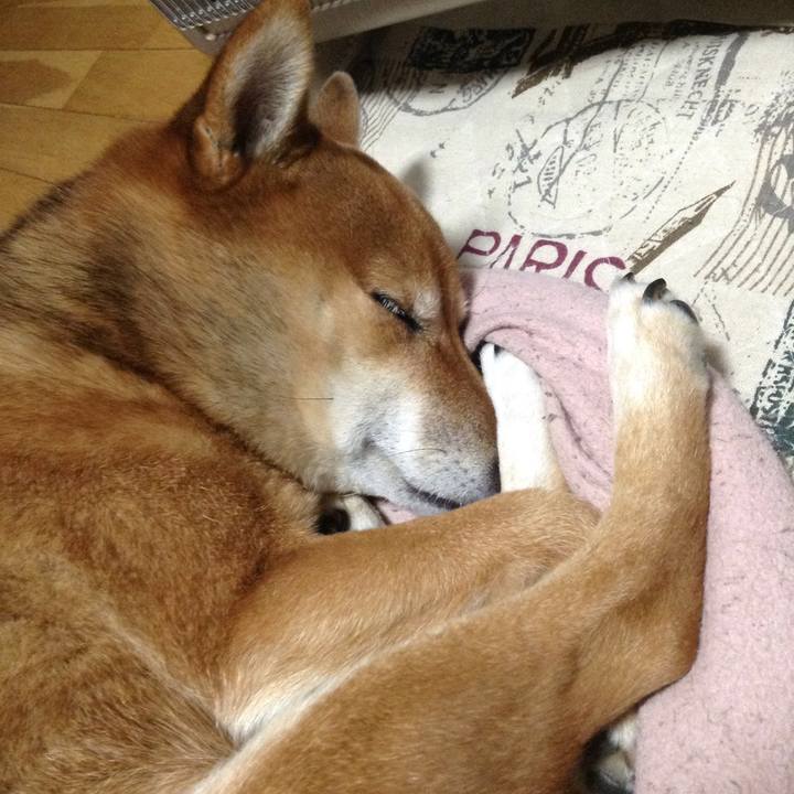 D8321d4c e137 4dfb a85d b24814ab2c71 1510927491796