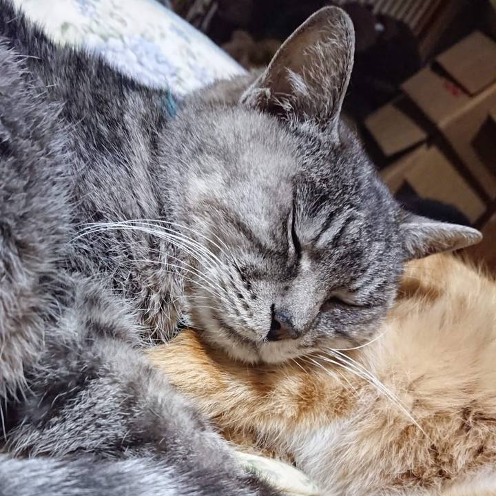 D832627b 1b4a 49c5 b4b9 4e55900cec40 1607600407287