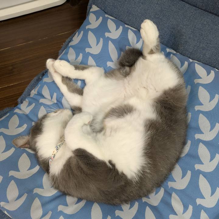 D832c56f 8df8 4e59 9627 0ebfd4440e3f 1759931286010