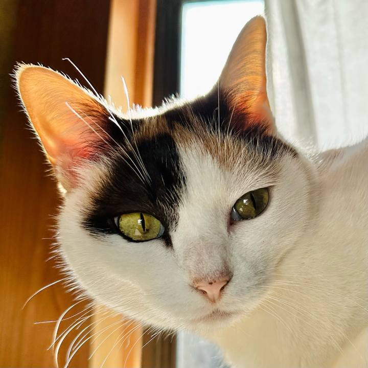 D832d6d5 e38a 49bc b0d7 c8dc716c2de2 1706321354218