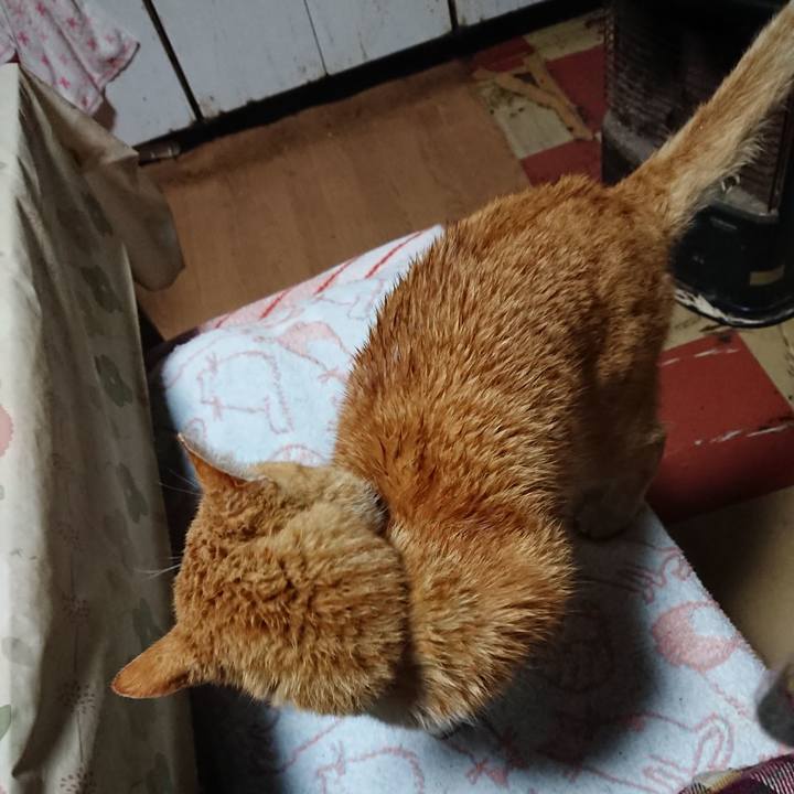 D8330791 4837 4602 9027 cc4b8e148f86 1586725444322