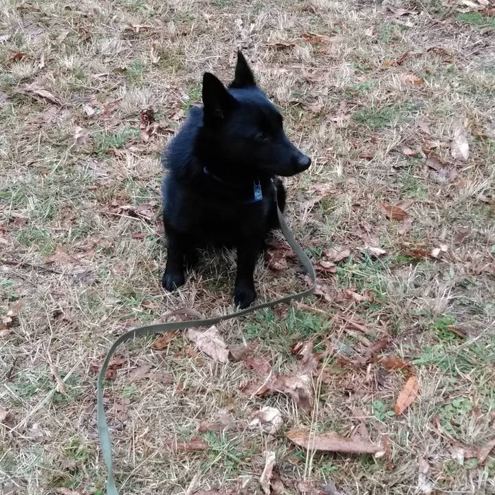 D8331dee f1c2 427c 879f 8409bff84233 1553063285575