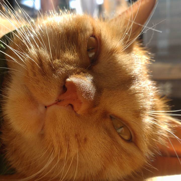 D8339641 126f 4ebb 835c 990e95152f57 1644050516152