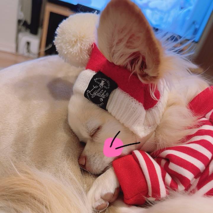 D833bae1 fa1e 4990 aabc 375b74f0ac3b 1703505966920