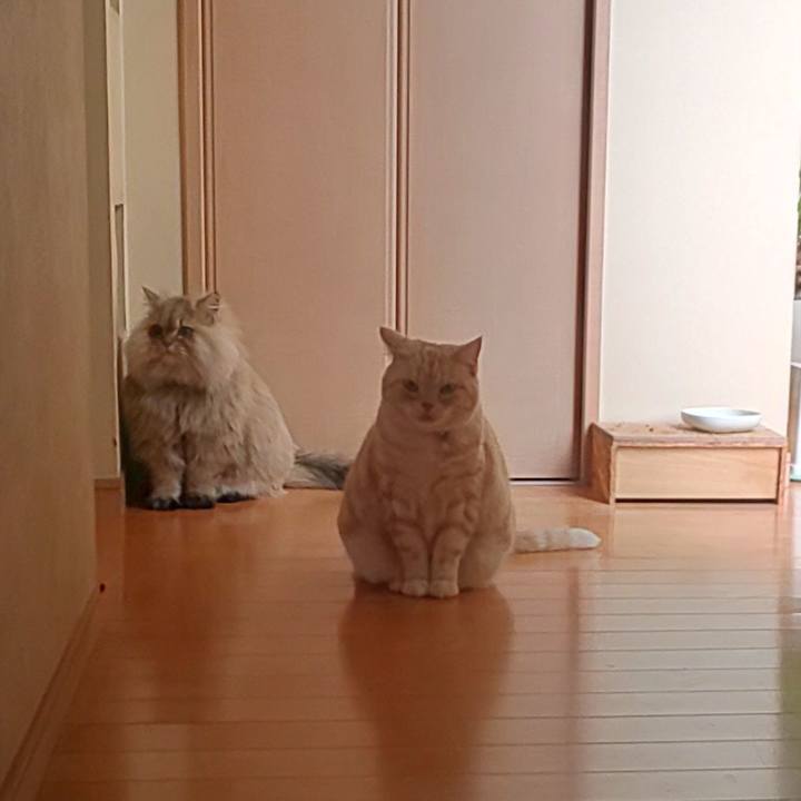 D833bfe8 0c2e 4d23 972e 3ac4a1547ee2 1577749758004