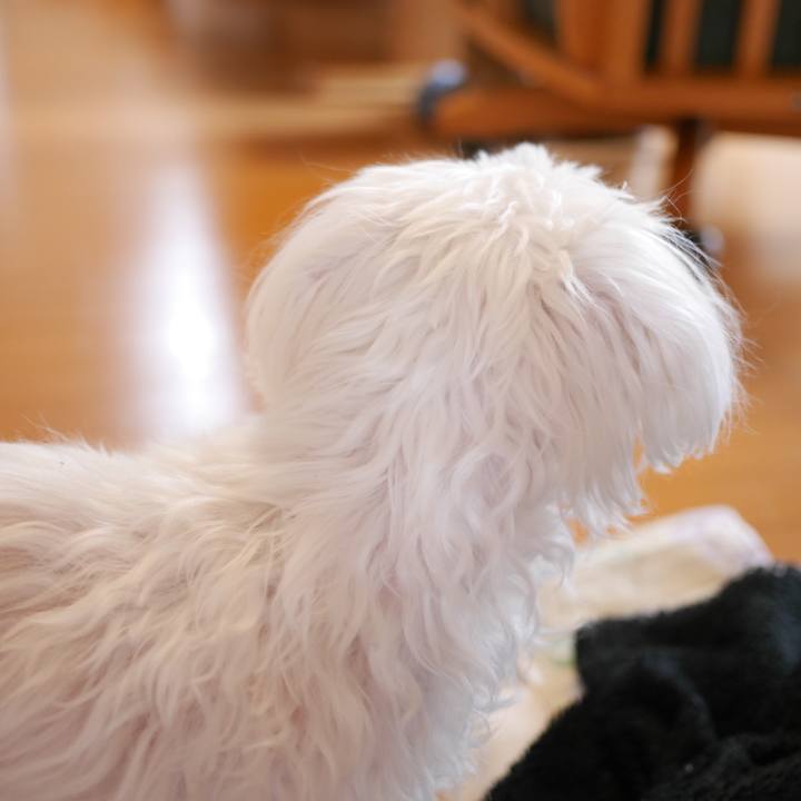 D833cb76 f1d6 4116 a83f df32d1a7387e 1681392006739