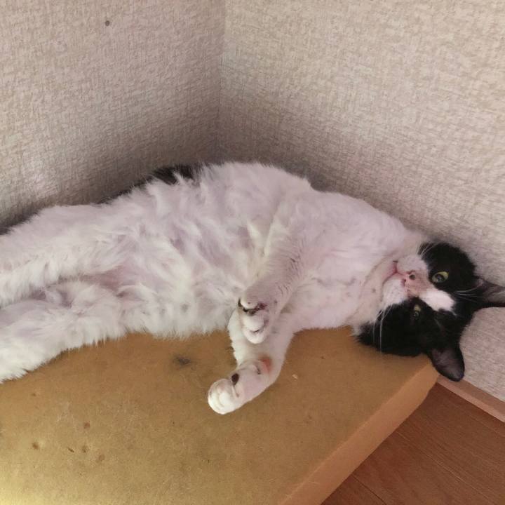 D833db7e a5f9 4148 b628 3e5436bd6eca 1618071813750