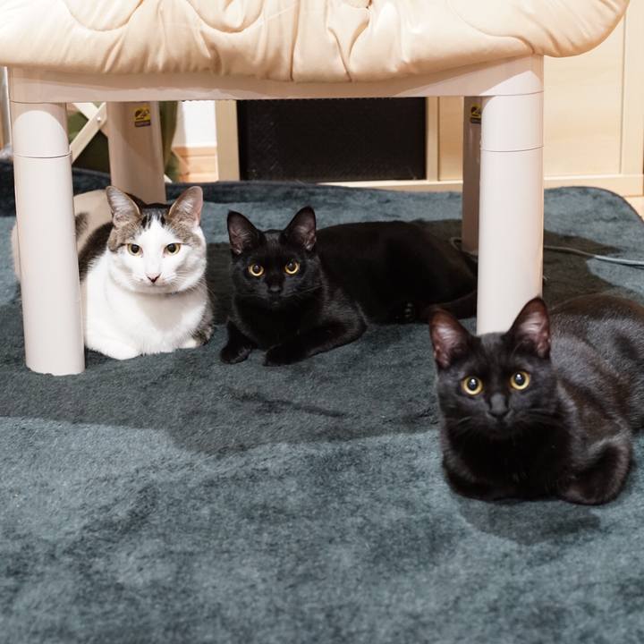 D833df63 0778 41c2 8f31 e0111df2210d 1518532641410