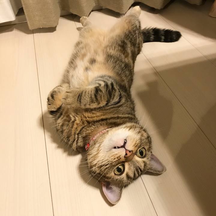 D8341b62 71f2 4dac a641 4f91281bbfdb 1530186550721