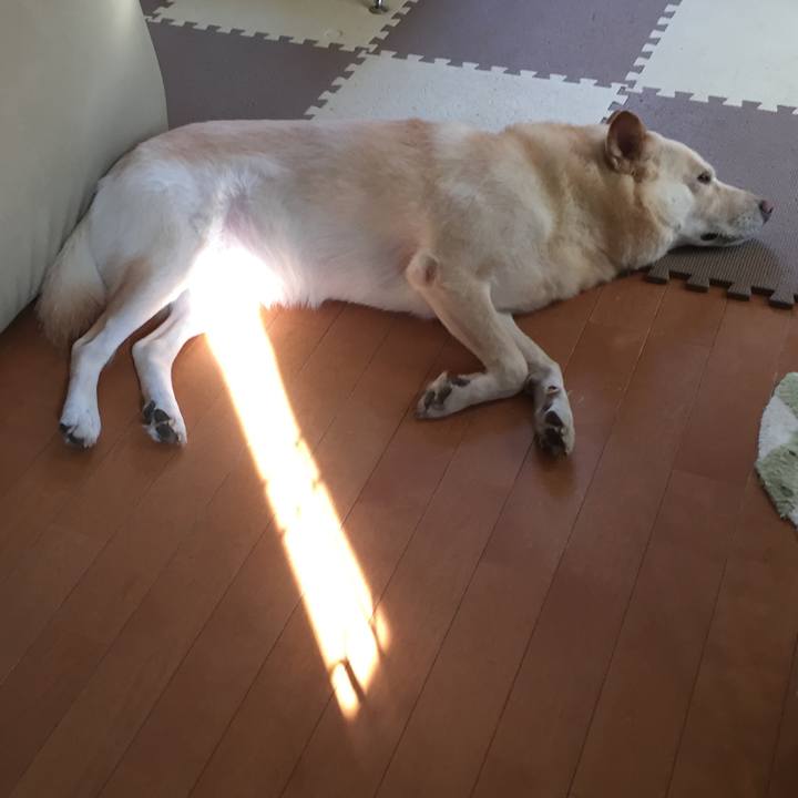 D8342eb3 c184 4d47 96cc 6040a0b31919 1507712453558