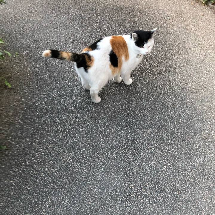 D83439e3 fbc4 4dd2 838e 2d113836c80b 1606882398468