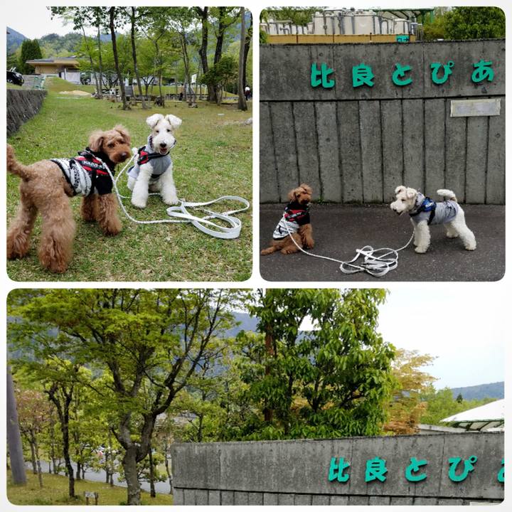 D8349327 5eee 4cfc b93c 1de1c39596ef 1556525654328