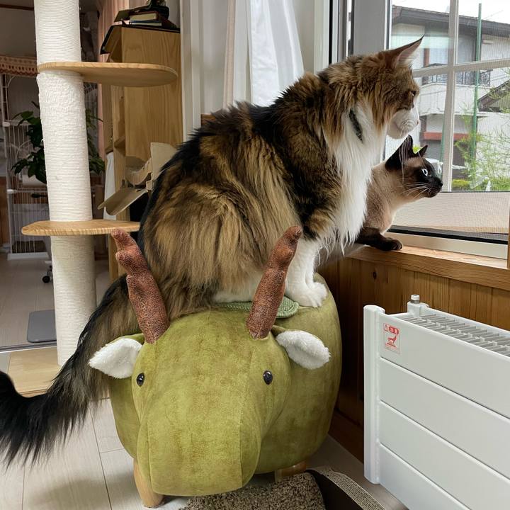 D834a142 1ad3 4584 bfec 39e2a046b522 1750107643367