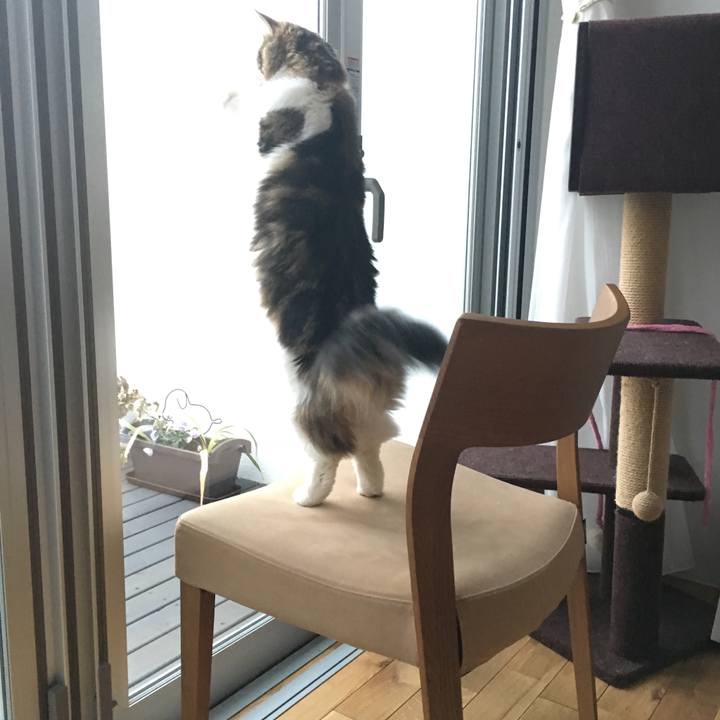 D834e1ed 5420 4170 94dd 22e65d8a7df6 1518770161530