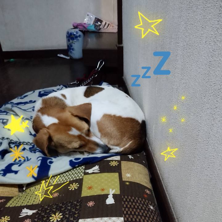 D834fc52 cd2b 4580 87a4 2aa86ed10a56 1586439439794