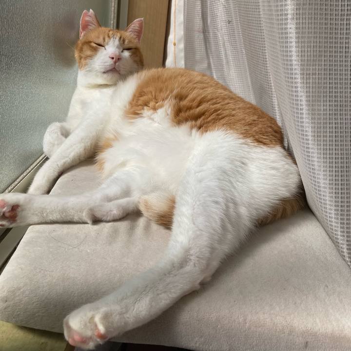 D8351056 33a6 436e b258 68e13e10dceb 1766121256099