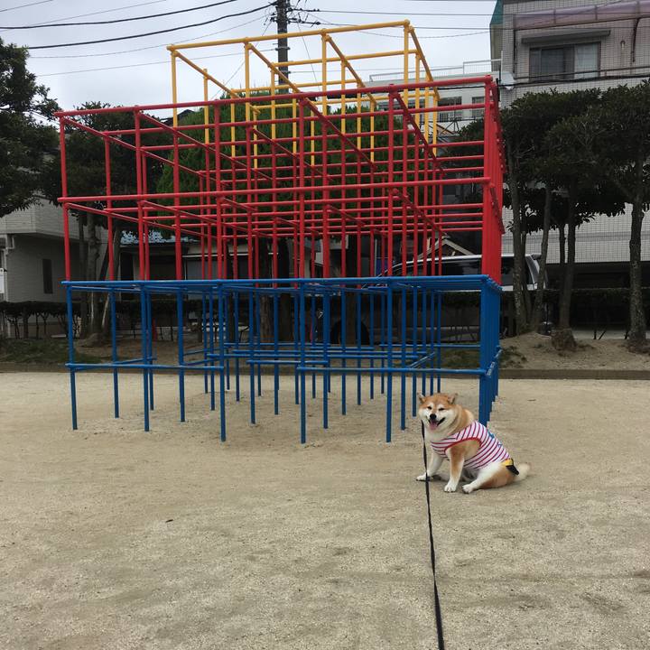 D8353e4a e4cb 47f5 b7d1 9e2703670a45 1567470283770