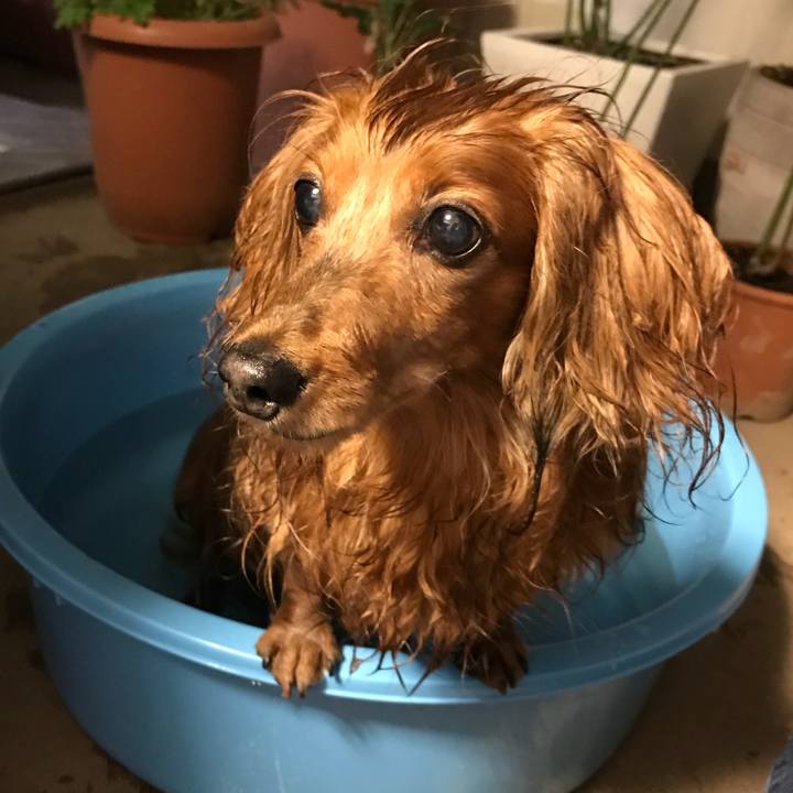 D83541b7 7089 4f81 9435 c52a355b3747 1531828525338