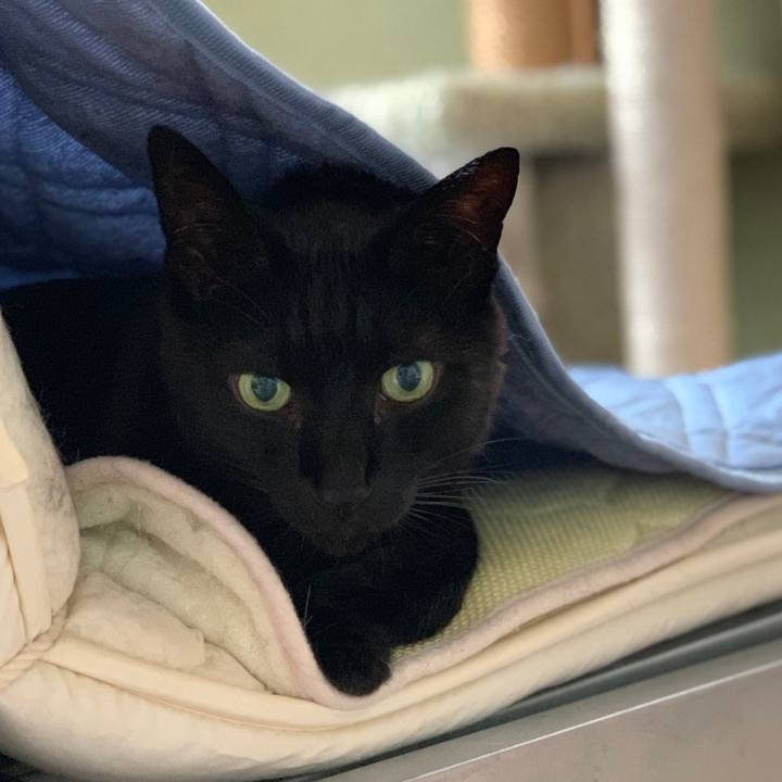 D83555d1 0115 48d9 a4f5 d19b8abfa236 1563067029733