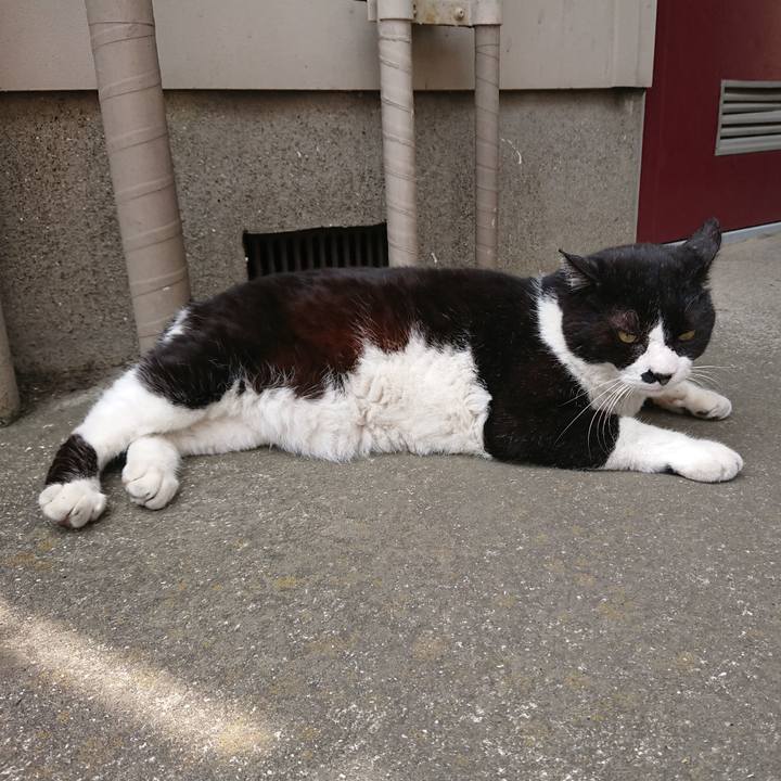 D8355f18 ad49 40c3 8793 4d97d6f4e44b 1559356284845