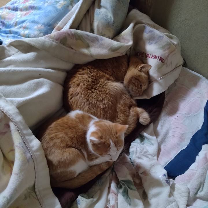 D8356465 100e 4c4a b82f 0afed4238d94 1733894110631