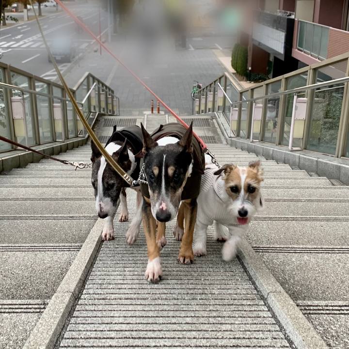 D8356e2d bdc5 48a1 9e85 d6e1b8955478 1606643374732