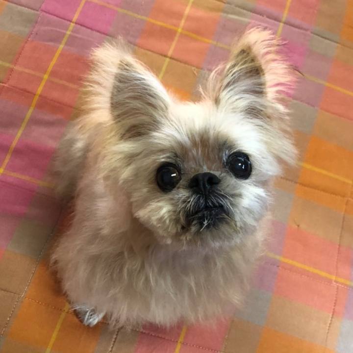 D83575b3 125f 4601 9747 e93af5186890 1608964419710