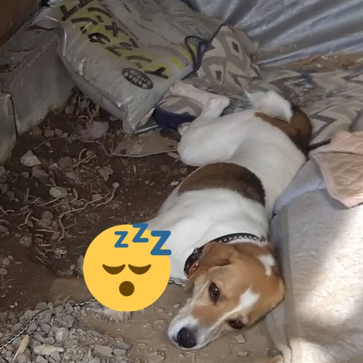 D835838c 201c 4708 b5ad 5d14291c48cc 1625978724235