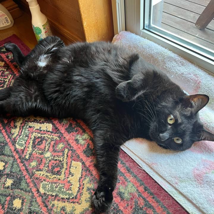 D8358cca cb01 4158 9f02 8f9f64cfdef0 1754260432282