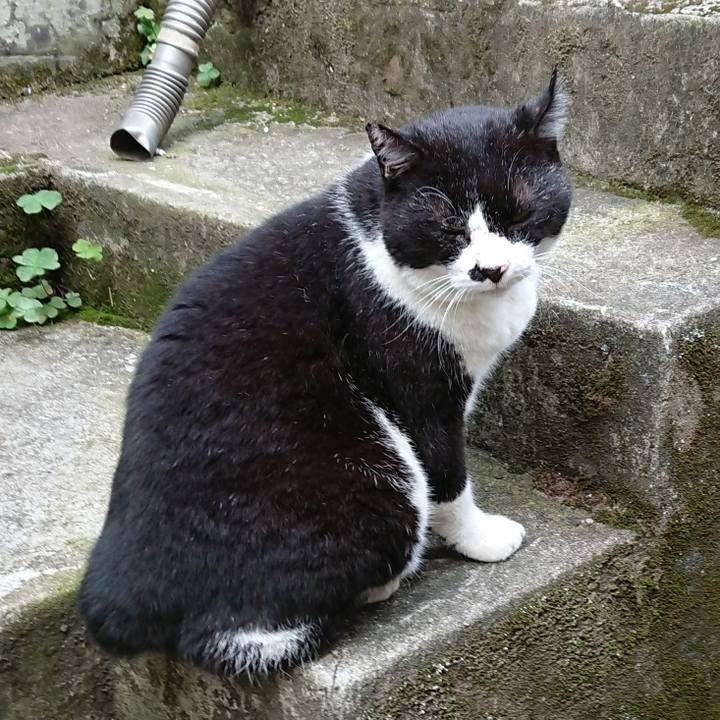 D835d298 7743 4cab 9745 d81ae4545e3f 1627514321529