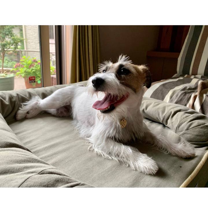 D835db66 d89a 4e51 b7bb 46e08d9801eb 1624926914255