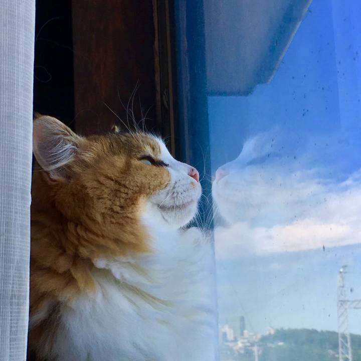 D835eb3b 736b 4d4d 8b8f d4f7f3744440 1565421305273