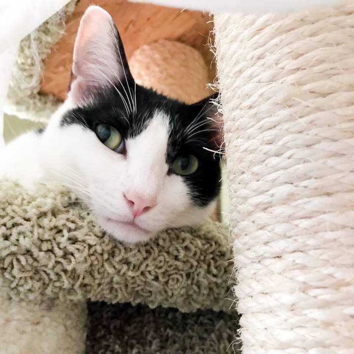 D835ed80 cab9 4dd4 b84f 64bf62304a79 1534256587097