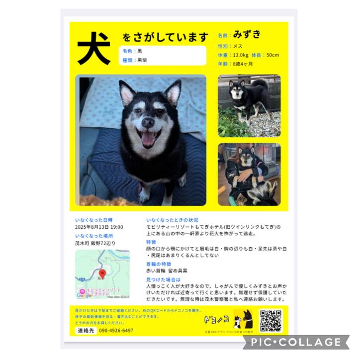 D8365037 e321 43ab a4ec 0fb8f9241a08 1756786021709